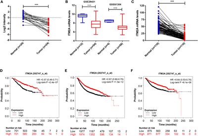 ITM2A as a Tumor Suppressor and Its Correlation With PD-L1 in Breast Cancer